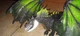 2022 Dungeons & Dragons Honor Among Thieves Rakor Dragon Figure by Hasbro