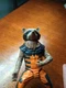 Marvel Guardians of the Galaxy Rocket Raccoon Titan Hero Action Figure 2014
