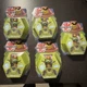 BAKUGAN Geogan Rising Sheriff Cubbo Spin Master and Trading Card 5 Pack - Bin M