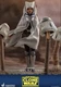 ✨Hot Toys Star Wars The Clone Wars Ahsoka Tano 1/6th Scale Figure New TMS021✨
