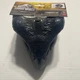 Jurassic World Dominion Therizinosaurus Dinosaur 33 in Movie Mask - GWY33