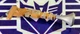 ROBLOX BOOTLEG BUCCANEERS MINING MAN GUN ACCESSORY JAZWARES 