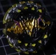 Hazard Kerbeus 4 Merge&rsquo; B-130 05 Beyblade Burst Cho Z Takara Tomy #1 May