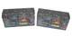 Jurassic World Blind Box Lot Of 2 - 2020 Mattel Dominion Minis Dinosaur New