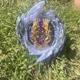 Takara Tomy Beyblade Burst Superking Rage Longinus Spinning Top B-168