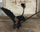 How To Train Your Dragon Toothless Barrel Roll Attack Figure 2013 Spin Master