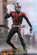 Hot Toys 1/6 MMS497 &ndash; Ant-Man and the Wasp &ndash; Ant-Man New