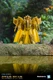 New Transformation toys Extrme Warfare Dr.WU DW-E09G Figure In Stock