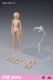 T86-ST01-B: 86Toys 1/12 scale female body (Tan, small chest)