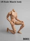 ZYTOYS ZY-B001 1/6 Male Action Figure Joint Body 12" Narrow Shoulder Muscle Doll