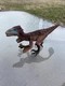 Schleich Utahraptor Dinosaur Brown Moveable Jaw 8 inch 14582