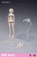 US 86TOYS T86-ST02-A 1/12 Woman Middle Breast Pale Body Fit 6" Figure Model Toy
