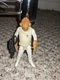 Kenner Star Wars Admiral Ackbar With Comlink Wrist Blaster Action Figure
