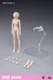 T86-ST02-A: 86Toys 1/12 scale female body (Pale, medium chest)