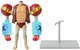 Bandai - One Piece - Anime Heroes - Franky Action Figure [New Toy] Action Figu