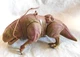 Kenner Star Wars 1997 POTF Dewback with Reins, no Sandtrooper #69743