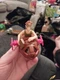 2001 Milo Thatch Subpod 3.5" McDonald's Action Figure Car #1 Disney Atlantis