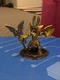 ACTIVISION SKYLANDERS IMAGINATORS GOLDEN QUEEN SENSEI FIGURE, 87798888