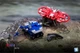 DR.Wu Mini-Cassettes DW-E59 E59G Drone DW-E60 E60G Rover  Action Figure in stock