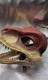 Jurassic World REBIRTH Velociraptor Dinosaur Hard Plastic Mask New 