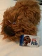 The Secret Life of Pets Duke Brown Dog 7&rdquo; Tall Plush Stuffed Animal Toy w/ Tag
