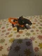 Schleich Eldrador Creatures Hellhound Lava Monster 2 Headed Dog 2017 Figure 