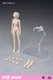 86TOYS 1/12 T86-ST02-A Pale Skin Medium Bust 6" Female Figure Head Body Dolls