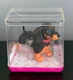 Zuru Pets Alive Booty Shakin' Pups! DACHSHUND  Interactive Toy Figure NEW
