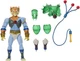 Mattel Collectible - Masters of the Universe x Thundercats Tygra Action Figure (
