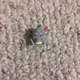 Hasbro Collectibles - Marvel Legends Series - Death's Head  - Head Only 