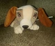 💥Disney Store Lady and the Tramp Lady Dog Bean Bag 8" Plush Stuffed Toy w Tags