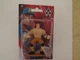 John Cena WWE Figurine Beverly Hills Teddy Bear