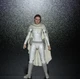Hasbro Star Wars The Black Series 6-inch Padme Amidala Action Figure SEALED