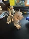 Kenner Star Wars Power Of The Force Beast Luke Skywalker And Taun Taun