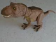 Jurassic World Camp Cretaceous Epic Roarin Tyrannosaurus Rex Jurassic Park T Rex