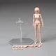 86TOYS T86-ST02-A 1/12 Woman Middle Breast Pale Body Fit 6" Action Figure Model
