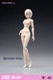 86TOYS T86-ST02-A 1/12 Middle Breast Pale Skin Female Joint Flexible Figure Body
