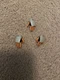 Hot Toys Star Wars Clone Wars 1/6 Scale Ahsoka Tano TMS021 Hand Accessories (x5)