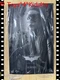 Hot Toys MMS627 Batman The Dark Knight Trilogy Catwoman 1/6 Figure NEW