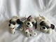 Disney 101 Dalmatians Lot Of 3 Beanie Bean Bag 8&rdquo; Plush Lucky Jewel NWT NEW