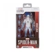 Marvel Legends Series Hasbro 2025 Spider-Man 2 Gamerverse (SPIRIT SPIDER) 4+ New