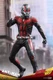 Hot Toys 1/6 Mms497 Ant-Man  Action Figure In Stock Perfect Collectibles