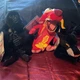 Disney Store - 8" Beanbag Plush - New w/ Tags Lot Mushu, Bagheera, Gorilla