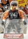 WWE Superstars Hollywood Hulk Hogan Includes nWo Gear Mattel W/belt 2021