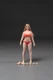 1/12 TBLeague PLLB2022-T05A Female Pale Body W/Head Doll Model Phicen Figure Toy