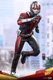 Hot Toys  MMS497 ANT-MAN AND THE WASP  1/6 ANT-MAN In Stock