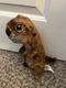 Disney Pixar&rsquo;s Finding Dory Adorable 10&rdquo; Baby SEA OTTER Plush Stuffed Doll