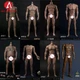 WorldBox AT011 AT012 AT016 AT020 AT027 AT032 1/6 Muscular Male Joint Figure Toy