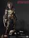 Hot Toys MMS137 Falconer Predator 1/6 Action Figure Collectible Model In Stock