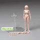 86TOYS T86-ST02-A 1/12 Pale Middle Breast 6''Female Action Figure Body Model Toy